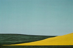 Image description is not available for 1984.036